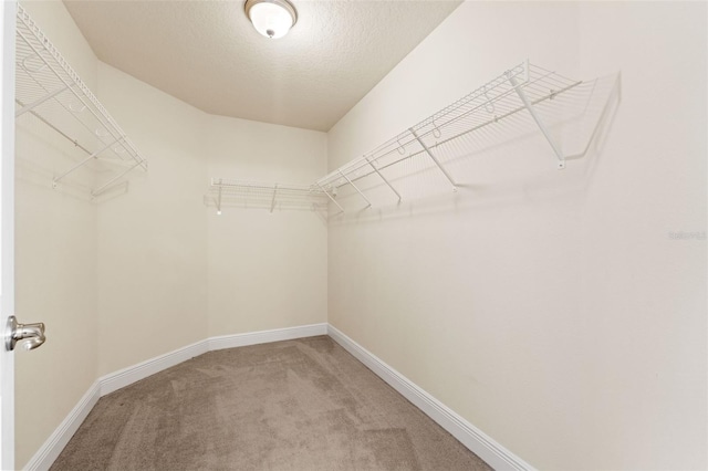 16302 Vine Cliff Ave, Hudson, FL 34667 - spacious closet featuring light carpet