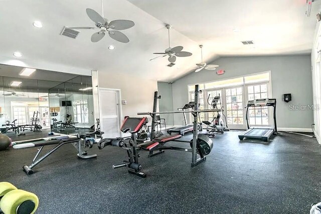 9481 Highland Oak Dr Unit 703, Tampa, FL 33647 - photo 16