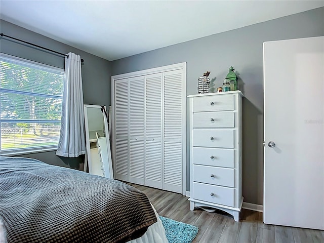 9616 Oak Ridge Ave, Riverview, FL 33578 - bedroom with a closet, baseboards, and wood finished floors