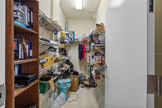 13750 Dowling Ln, Odessa, FL 33556 - view of storage area