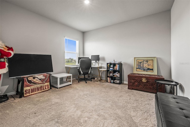 7334 Ashcroft Dr, Wesley Chapel, FL 33545 - office space featuring baseboards and carpet flooring