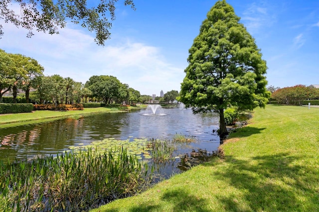 water view