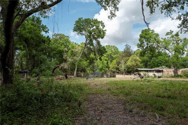 18351 Deason Dr, Spring Hill, FL 34610