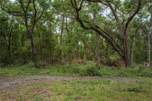 18351 Deason Dr, Spring Hill, FL 34610