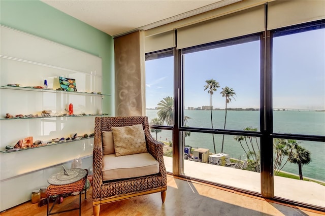 80 Rogers St Unit 2A, Clearwater, FL 33756 - living area featuring floor to ceiling windows and a water view