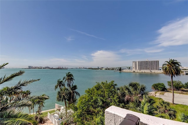 80 Rogers St Unit 2A, Clearwater, FL 33756 - property view of water