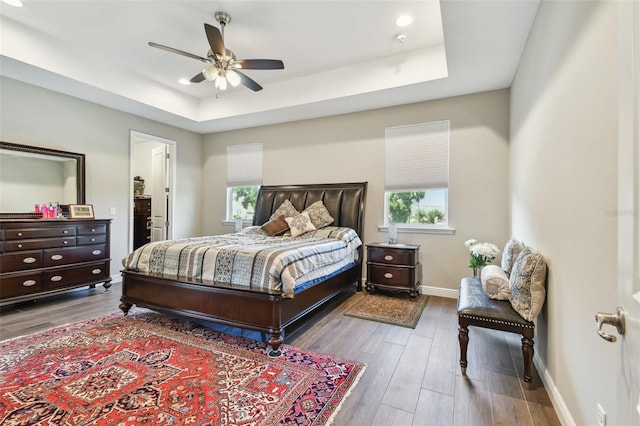 4007 W Gray St, Tampa, FL 33609 - bedroom with baseboards, wood finished floors, a raised ceiling, and multiple windows