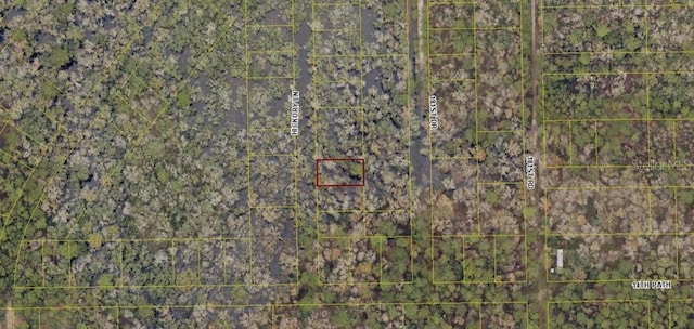 Hickory Ln, Live Oak, FL 32060 - photo 1