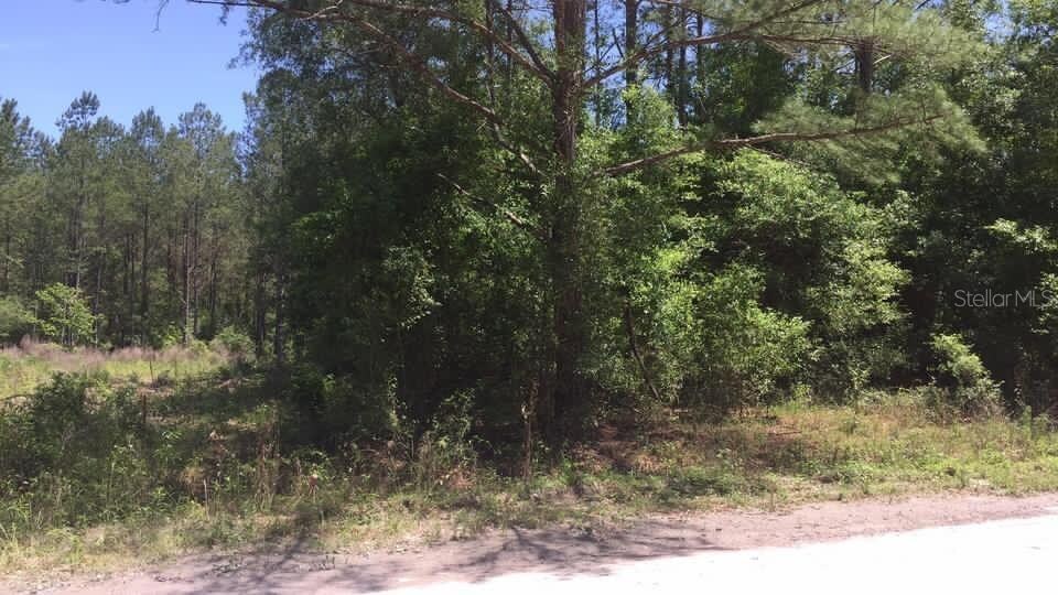 Hickory Ln, Live Oak, FL 32060 - photo 3