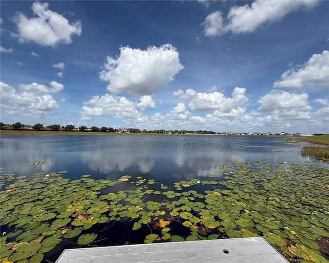 view of water feature