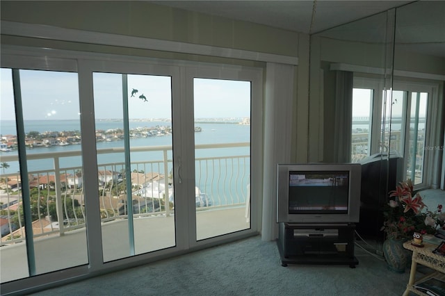 4900 Brittany Dr S Unit 1706, Saint Petersburg, FL 33715 - photo 12