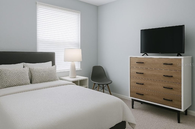 3533 Roanoke St, The Villages, FL 32162 - bedroom with carpet floors and baseboards