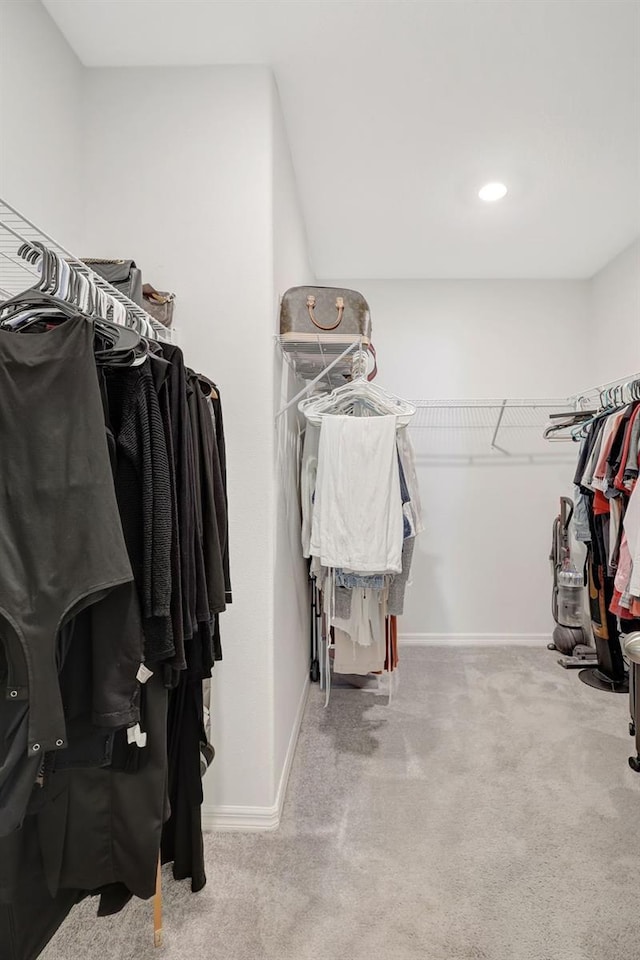 spacious closet with carpet