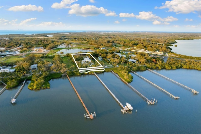 450 Bayshore Dr, Terra Ceia, FL 34250 - birds eye view of property featuring a water view