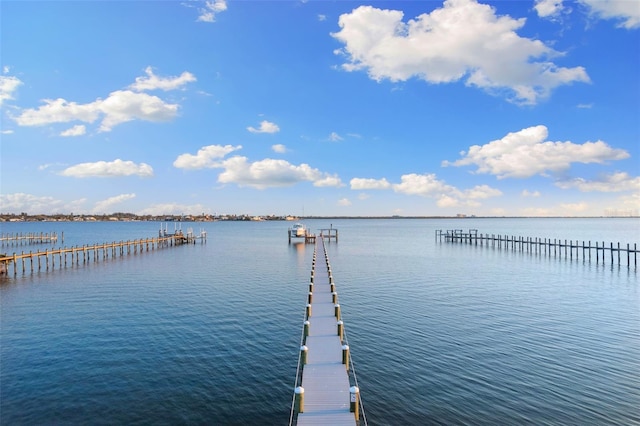 450 Bayshore Dr, Terra Ceia, FL 34250 - dock area with a water view