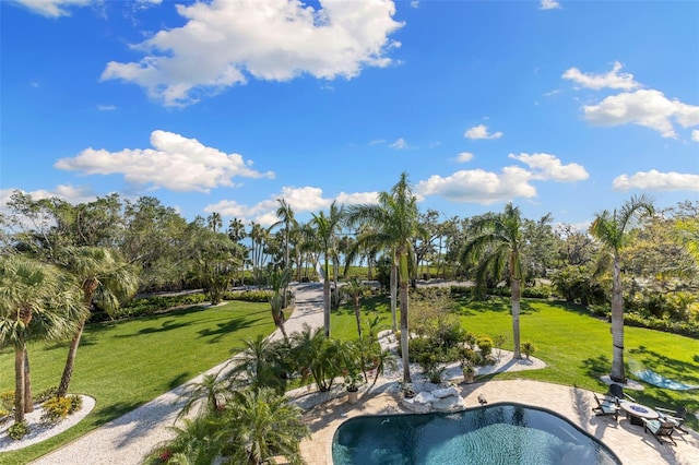 450 Bayshore Dr, Terra Ceia, FL 34250 - pool with a lawn and a patio
