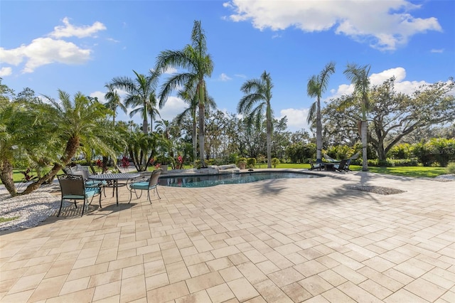 450 Bayshore Dr, Terra Ceia, FL 34250 - view of swimming pool with a patio area
