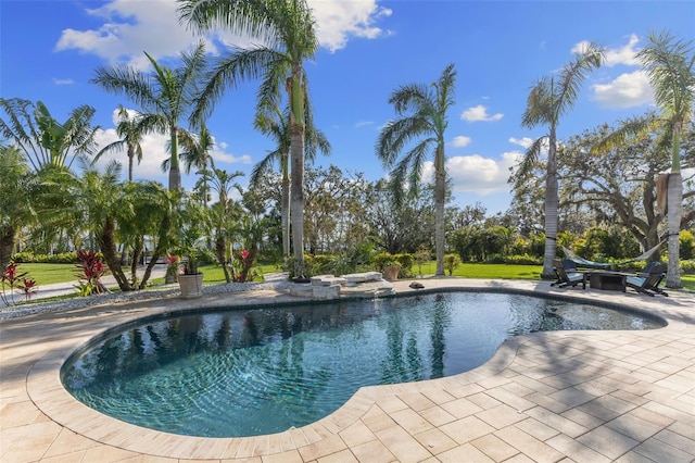450 Bayshore Dr, Terra Ceia, FL 34250 - pool with a patio area