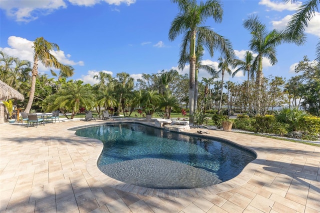 450 Bayshore Dr, Terra Ceia, FL 34250 - pool featuring a patio