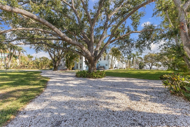 450 Bayshore Dr, Terra Ceia, FL 34250 - view of street with gravel driveway