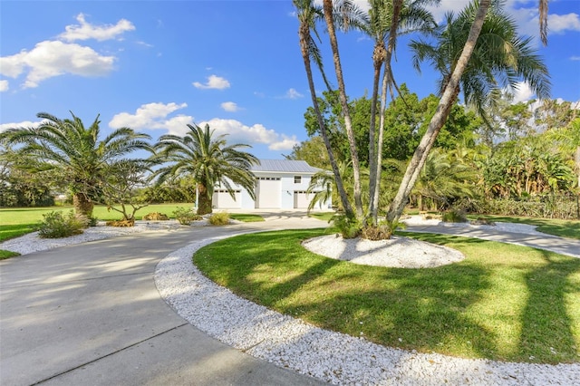 450 Bayshore Dr, Terra Ceia, FL 34250 - view of front facade with metal roof, a front yard, and curved driveway