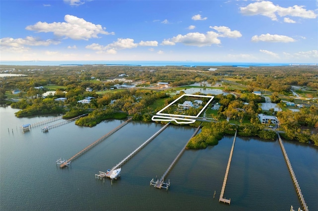 450 Bayshore Dr, Terra Ceia, FL 34250 - drone / aerial view with a water view