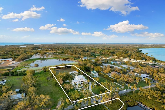 450 Bayshore Dr, Terra Ceia, FL 34250 - aerial view featuring a water view and a view of trees