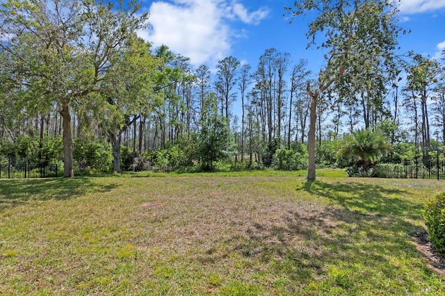 view of yard