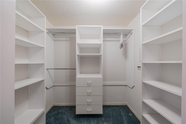 301 Caloosa Palms Ct, Sun City Center, FL 33573 - spacious closet featuring dark carpet