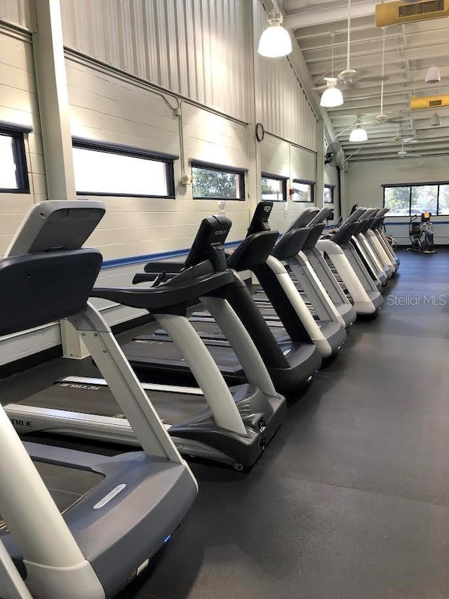 301 Caloosa Palms Ct, Sun City Center, FL 33573 - view of exercise room