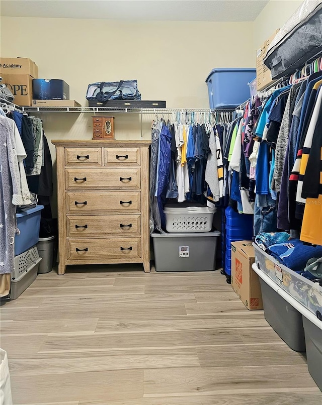 spacious closet featuring light wood finished floors
