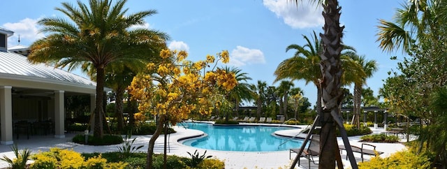 community pool featuring a patio area and ceiling fan