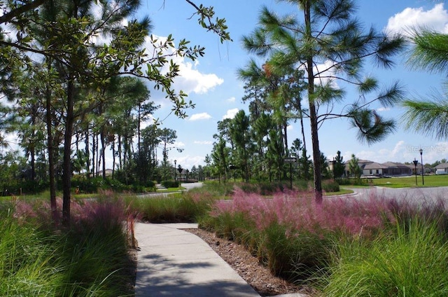 view of property's community