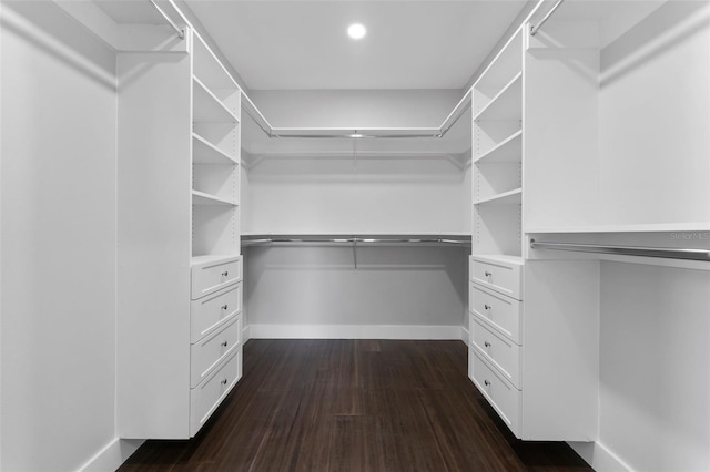 806 W Adalee St, Tampa, FL 33603 - walk in closet with dark wood-style flooring