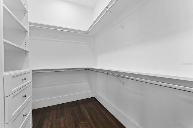 806 W Adalee St, Tampa, FL 33603 - walk in closet with dark wood finished floors