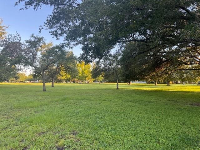 806 W Adalee St, Tampa, FL 33603 - photo 66