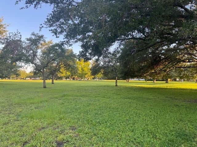 806 W Adalee St, Tampa, FL 33603 - photo 67