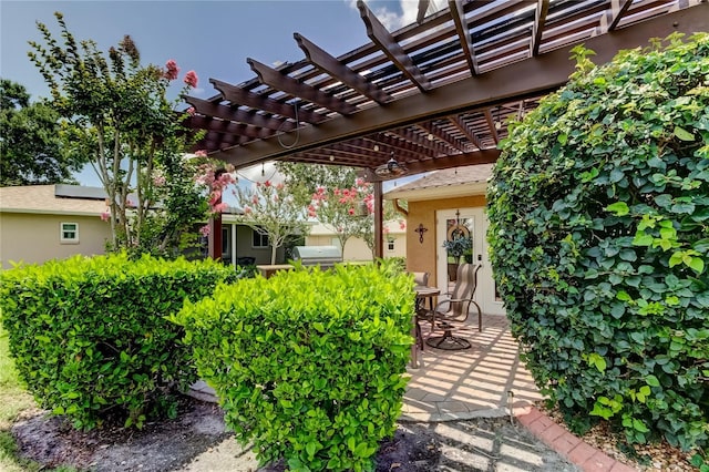 10601 42nd Ct N, Clearwater, FL 33762 - photo 32