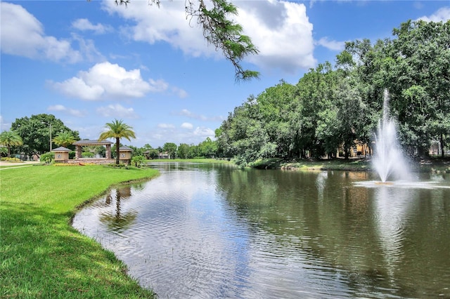 13008 Eagles Entry Dr, Odessa, FL 33556 - water view