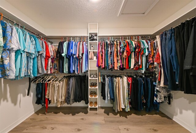 6416 Cobble Bliss St, Zephyrhills, FL 33541 - walk in closet with attic access and wood finished floors