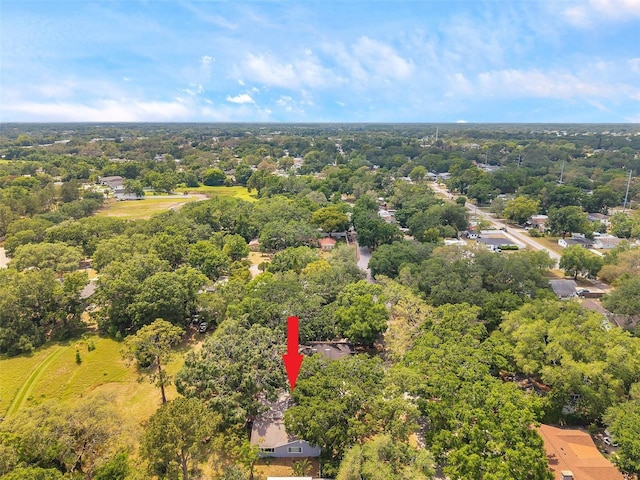 1308 W Perdiz St, Tampa, FL 33612 - aerial view