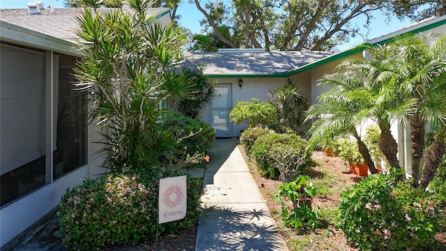 3203 40th Way S Unit B, Saint Petersburg, FL 33711 - entrance to property featuring stucco siding and roof with shingles
