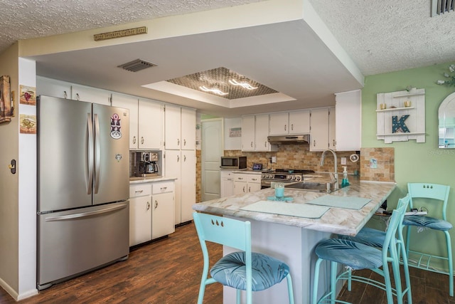6831 Greenwich Ave, New Port Richey, FL 34653 - kitchen with a sink, a raised ceiling, appliances with stainless steel finishes, a peninsula, and under cabinet range hood