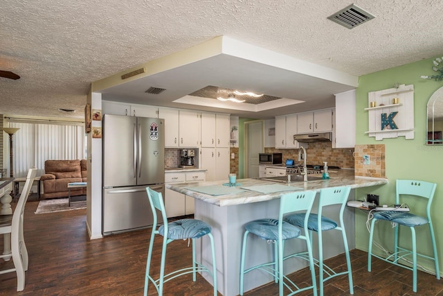 6831 Greenwich Ave, New Port Richey, FL 34653 - kitchen with a tray ceiling, appliances with stainless steel finishes, a peninsula, under cabinet range hood, and visible vents