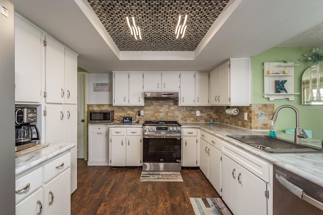 6831 Greenwich Ave, New Port Richey, FL 34653 - kitchen with stainless steel appliances, dark wood finished floors, tasteful backsplash, a raised ceiling, and a sink