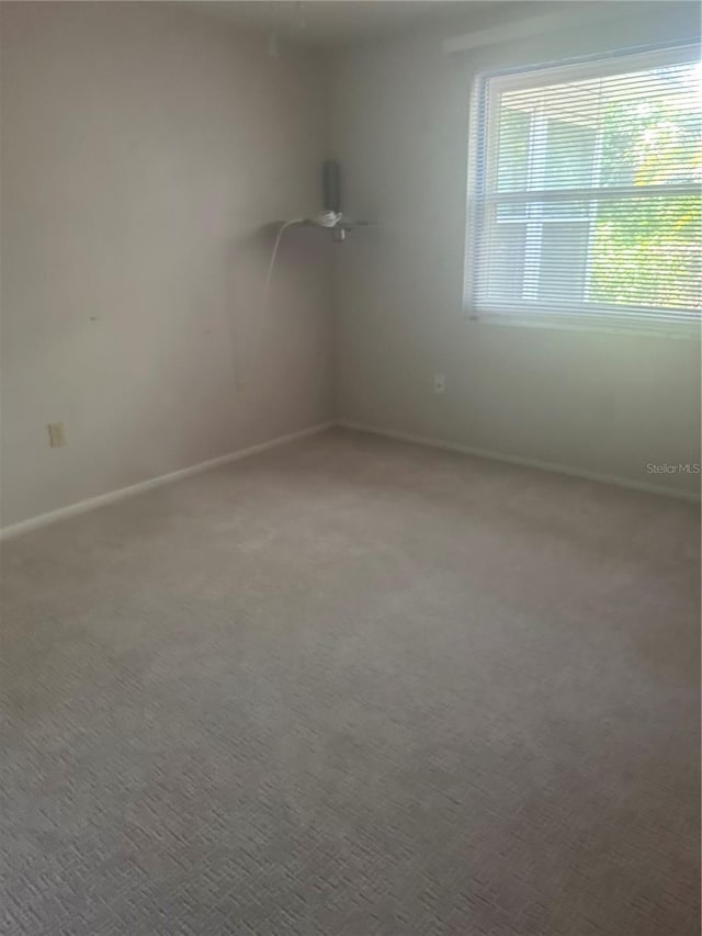 4242 Sheldon Pl, New Port Richey, FL 34652 - photo 19