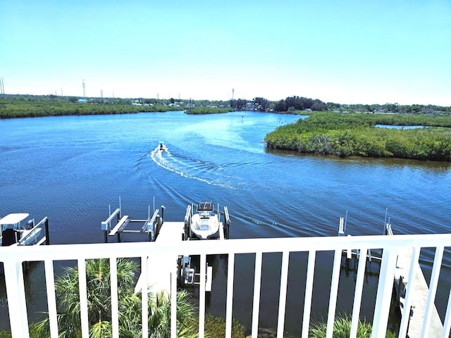 362 Coquina Dr, Tarpon Springs, FL 34689 - photo 45