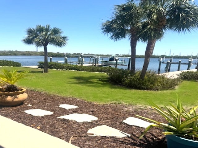 362 Coquina Dr, Tarpon Springs, FL 34689 - photo 51