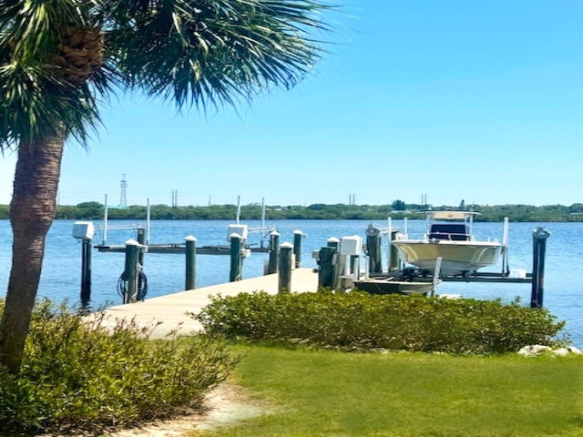 362 Coquina Dr, Tarpon Springs, FL 34689 - photo 52