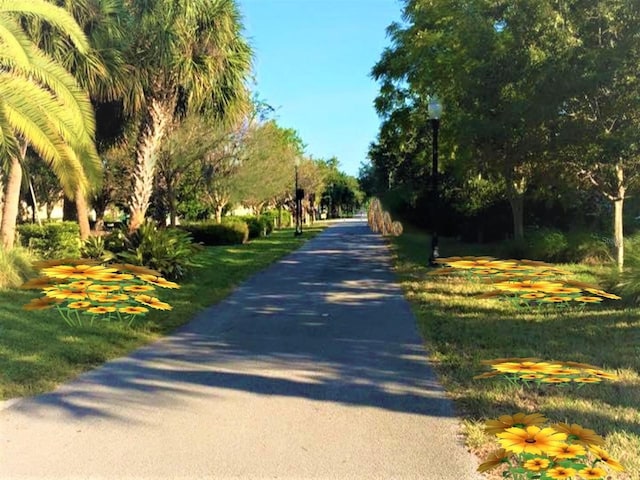 362 Coquina Dr, Tarpon Springs, FL 34689 - photo 76